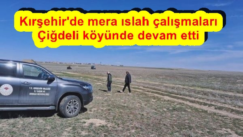 Kırşehir'de mera ıslah çalışmaları Çiğdeli köyünde devam etti