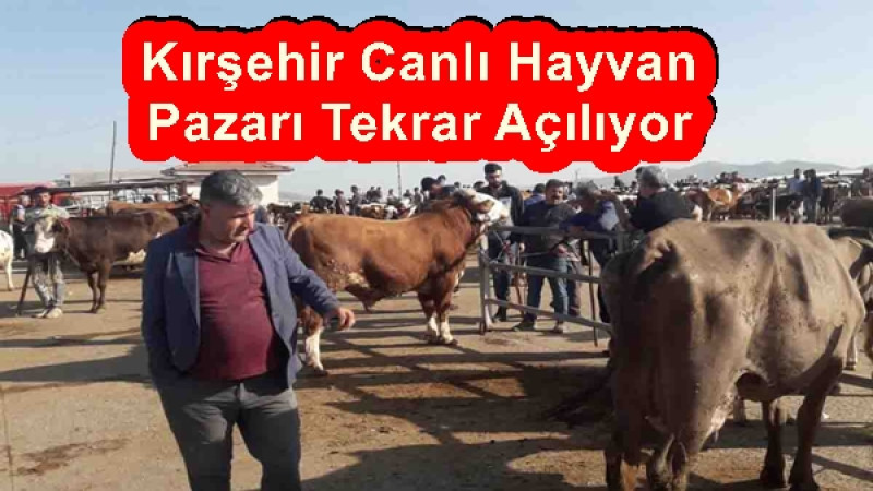 Kırşehir Canlı Hayvan Pazarı Tekrar Açılıyor