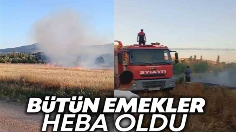 Özbağ' da Meydana Gelen Yangında Tarım Alanları Zarar Gördü