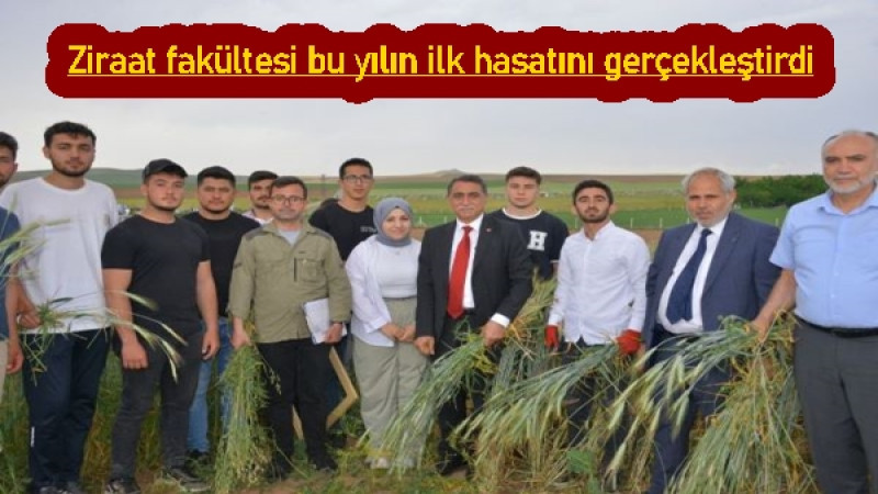 Ziraat fakültesi bu yılın ilk hasatını gerçekleştirdi