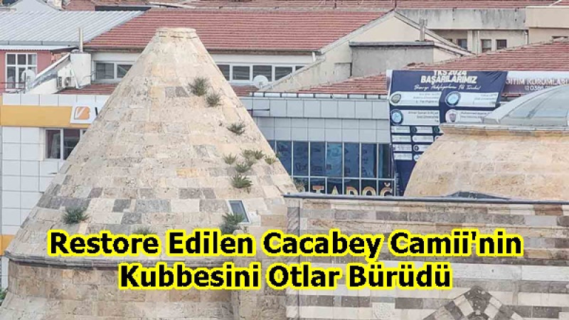 Restore Edilen Cacabey Camii'nin Kubbesini Otlar Bürüdü