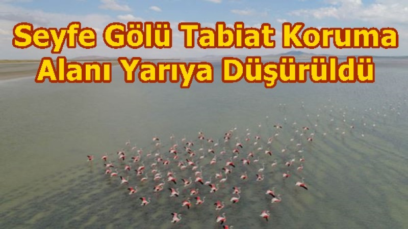 Seyfe Gölü Tabiat Koruma Alanı Yarıya Düşürüldü