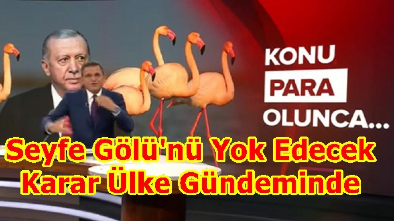 Seyfe Gölü'nü Yok Edecek Karar Ülke Gündeminde