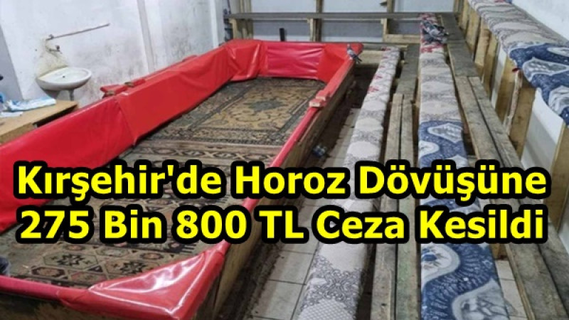 Kırşehir'de Horoz Dövüşüne 275 Bin 800 TL Ceza Kesildi.