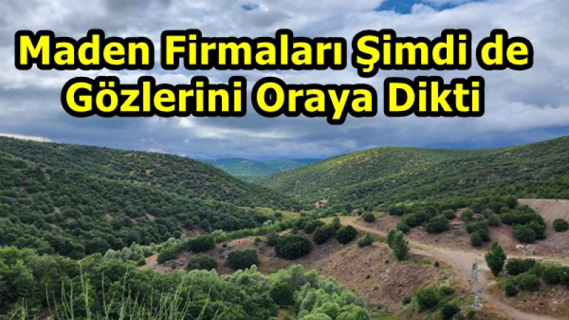 Maden Firmaları Şimdi de Gözlerini Oraya Dikti