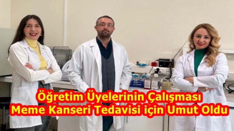 Öğretim Üyelerinin Çalışması Meme Kanseri Tedavisi için Umut Oldu