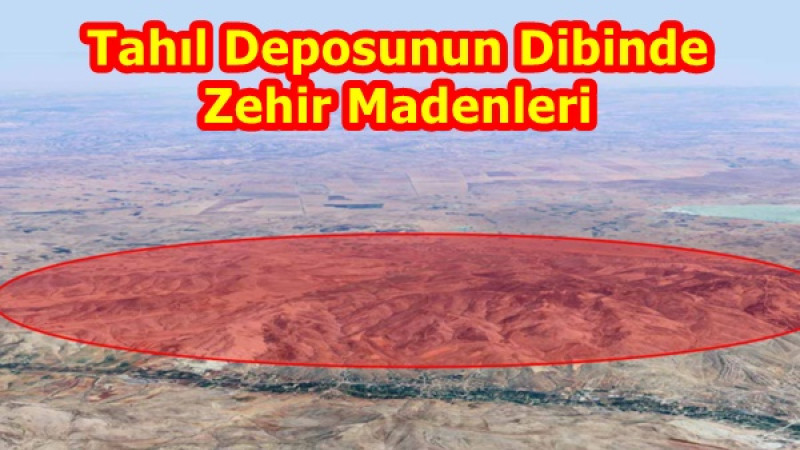 Tahıl Deposunun Dibinde Zehir Madenleri