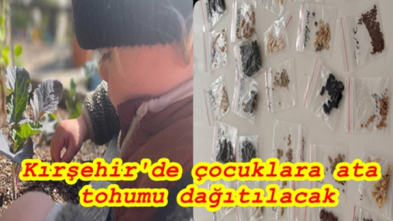 Kırşehir'de çocuklara ata tohumu dağıtılacak