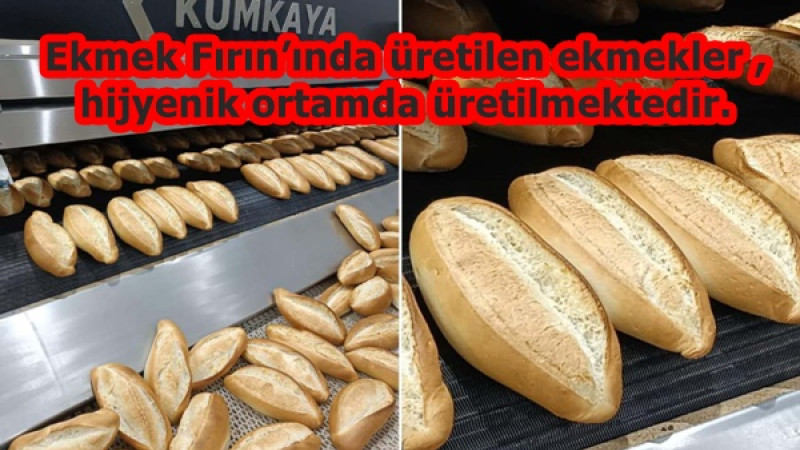 Halk Ekmek Fırın’ında üretilen ekmekler ,hijyenik ortamda üretilmektedir.