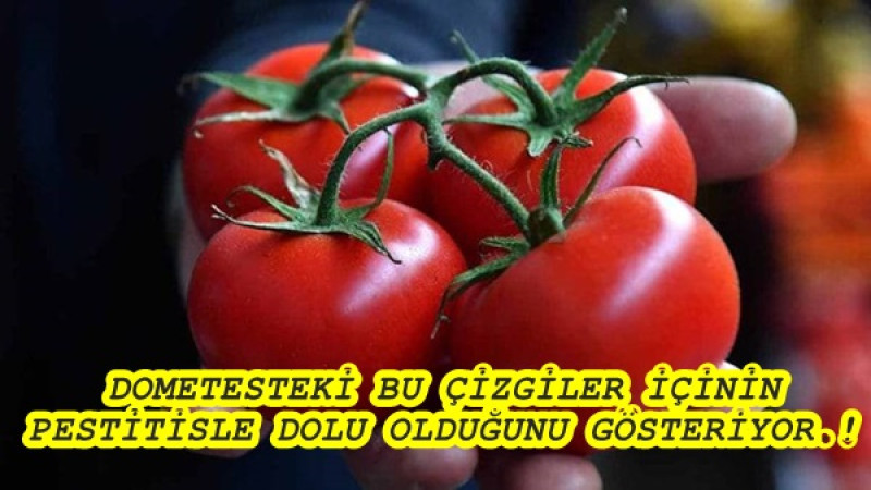 DOMETESTEKİ BU ÇİZGİLER İÇİNİN PESTİTİSLE DOLU OLDUĞUNU GÖSTERİYOR.!