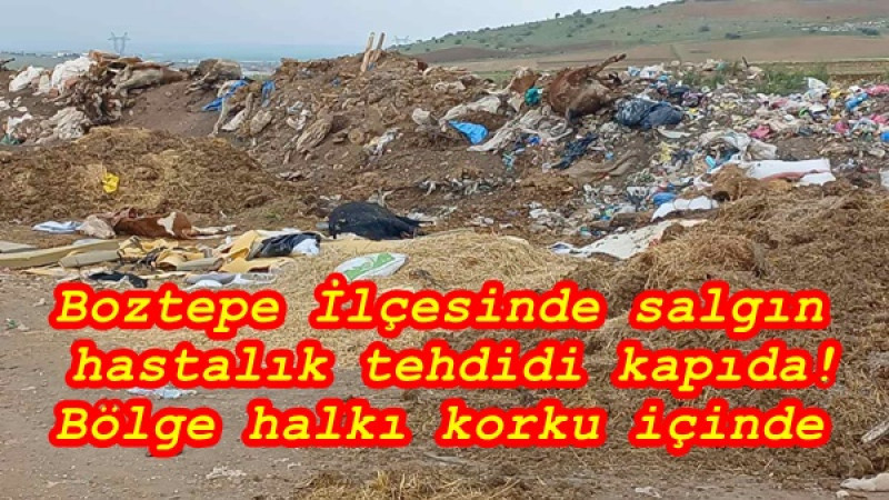 Boztepe İlçesinde salgın hastalık tehdidi kapıda! Bölge halkı korku içinde