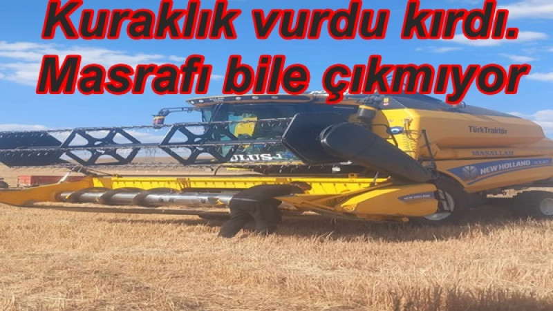 Kuraklık vurdu kırdı. Masrafı bile çıkmıyor