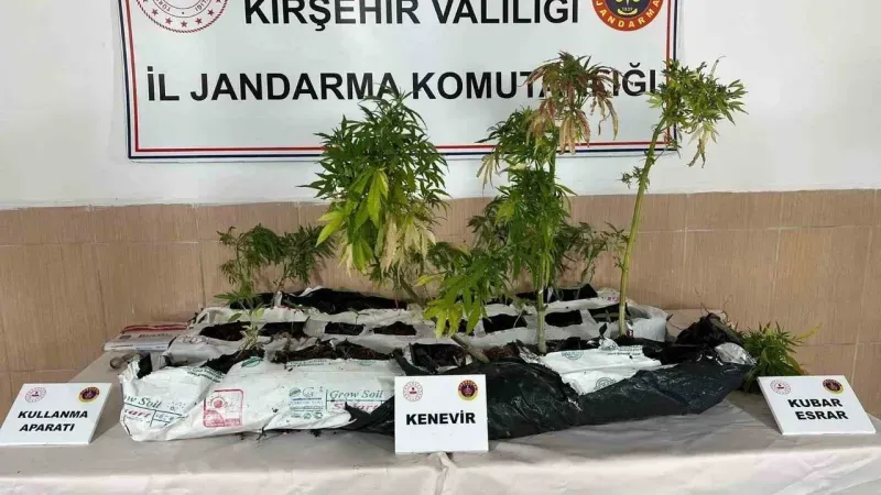 Kırşehir’de yasaklı madde operasyonu