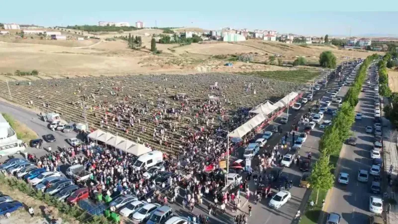 Koku Vadisi’nde Beşinci Lavanta Şöleni Düzenleniyor