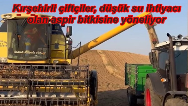 Kırşehirli çiftçiler, düşük su ihtiyacı olan aspir bitkisine yöneliyor