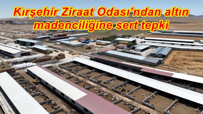 Kırşehir Ziraat Odası’ndan altın madenciliğine sert tepki