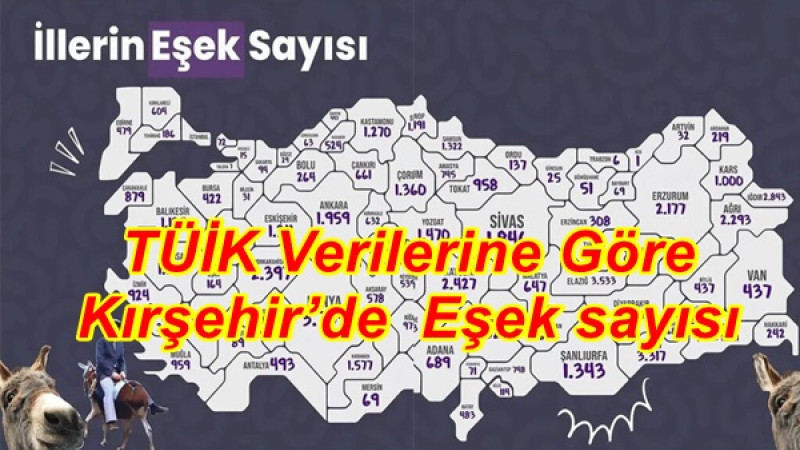 TÜİK Verilerine Göre Kırşehir’de  Eşek sayısı 