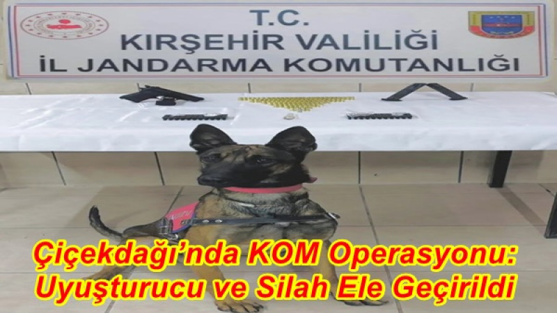 Çiçekdağı’nda KOM Operasyonu: Uyuşturucu ve Silah Ele Geçirildi