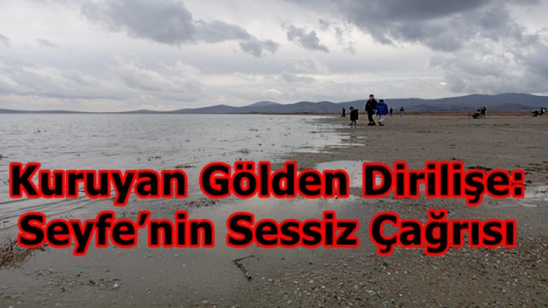 Kuruyan Gölden Dirilişe: Seyfe’nin Sessiz Çağrısı