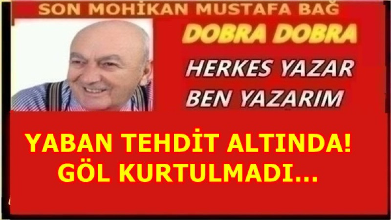 YABAN TEHDİT ALTINDA! GÖL KURTULMADI…