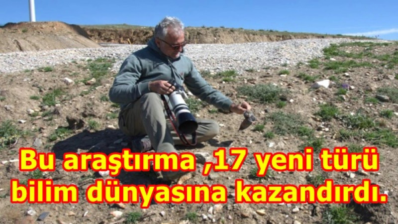 Bu araştırma ,17 yeni türü bilim dünyasına kazandırdı. 