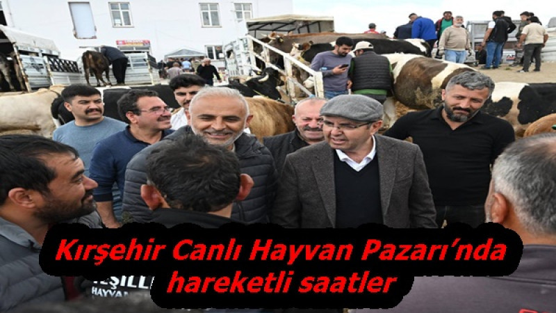 Kırşehir Canlı Hayvan Pazarı’nda hareketli saatler