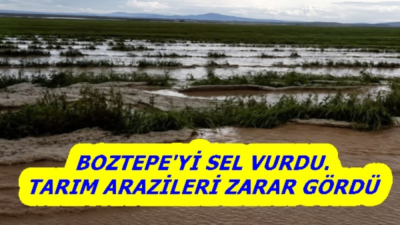BOZTEPE'Yİ SEL VURDU.TARIM ARAZİLERİ ZARAR GÖRDÜ