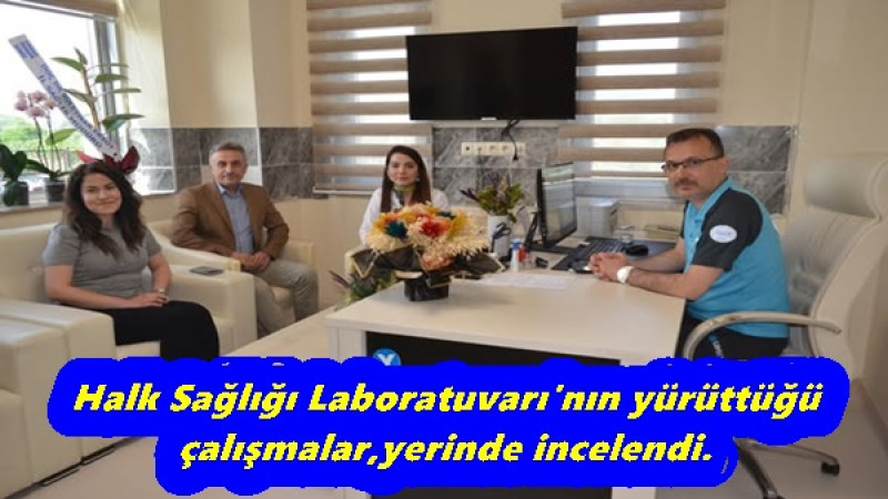 Halk Sağlığı Laboratuvarı'nın yürüttüğü çalışmalar,yerinde incelendi.