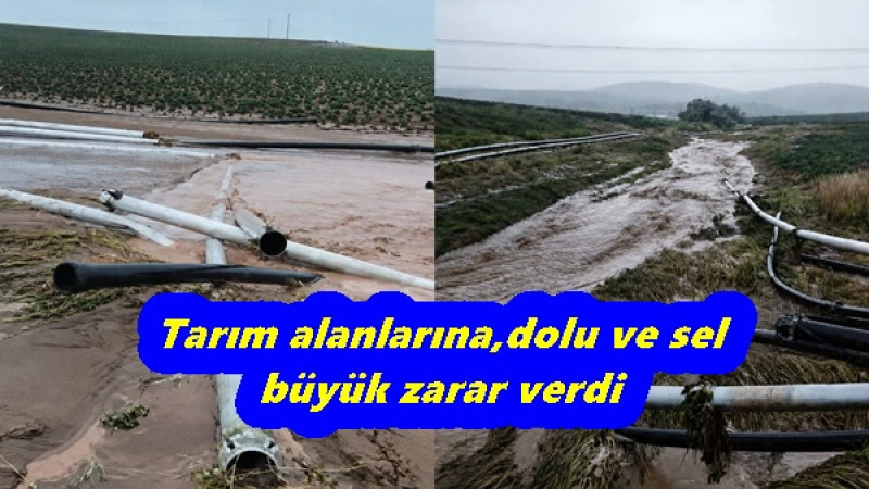 Tarım alanlarına,dolu ve sel büyük zarar verdi