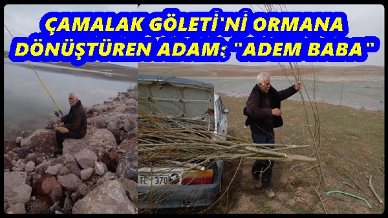 ÇAMALAK GÖLETİ'Nİ ORMANA DÖNÜŞTÜREN ADAM: 