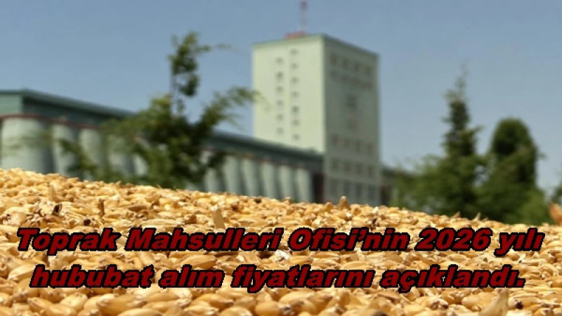 Toprak Mahsulleri Ofisi’nin 2026 yılı hububat alım fiyatlarını açıklandı.