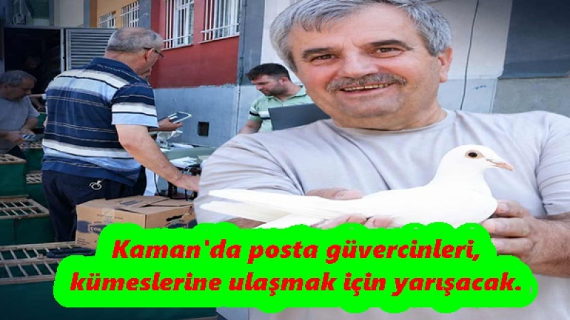 Kaman'da posta güvercinleri,kümeslerine ulaşmak için yarışacak.