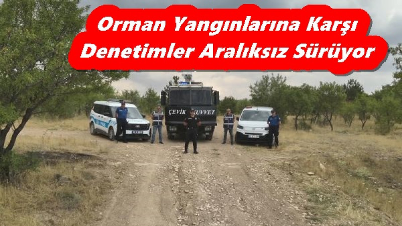 Orman Yangınlarına Karşı Denetimler Aralıksız Sürüyor