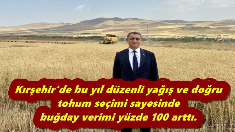 Kırşehir’de bu yıl düzenli yağış ve doğru tohum seçimi sayesinde buğday verimi yüzde 100 arttı.