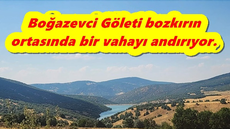 Boğazevci Göleti bozkırın ortasında bir vahayı andırıyor.