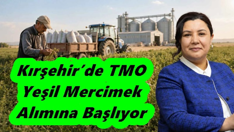 Kırşehir’de TMO Yeşil Mercimek Alımına Başlıyor