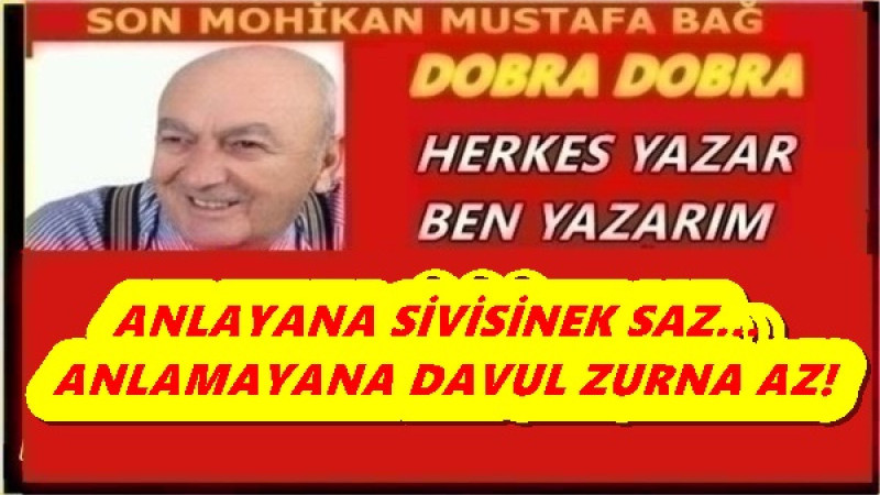 ANLAYANA SİVİSİNEK SAZ… ANLAMAYANA DAVUL ZURNA AZ!