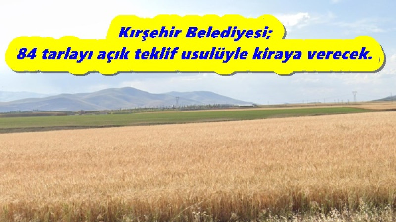 Kırşehir Belediyesi; 84 tarlayı açık teklif usulüyle kiraya verecek.