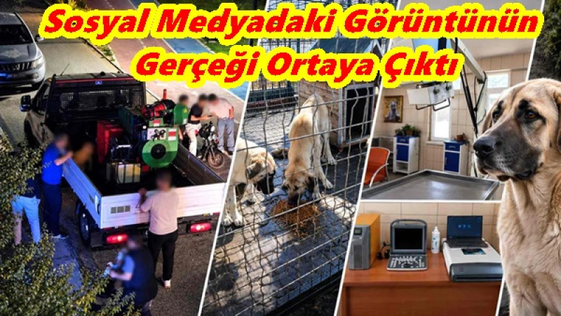 Sosyal Medyadaki Görüntünün Gerçeği Ortaya Çıktı