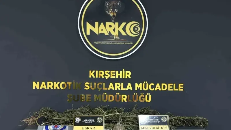 Çiçekdağı ilçesinde eş zamanlı operasyon 